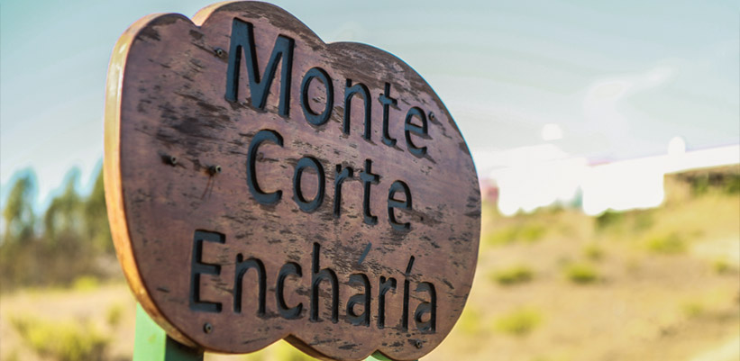 Monte Corte Enchária Galeria